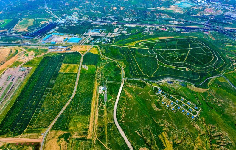 绿色的田地

中度可信度描述已自动生成