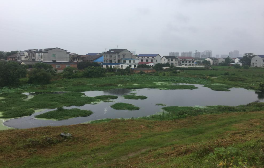 李家河整治前.jpg