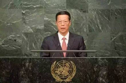 张高丽