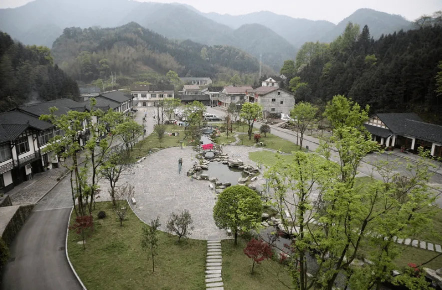 赛阳村.webp
